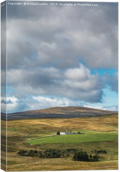 Peghorn Lodge farm and Meldon Hill, Upper Teesdale Canvas Print by Richard Laidler