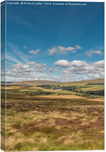 Forest in Teesdale from Holwick Fell 2 Canvas Print by Richard Laidler