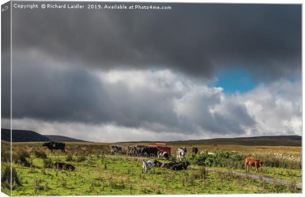 Widdybank Farm, Upper Teesdale 2 Canvas Print by Richard Laidler