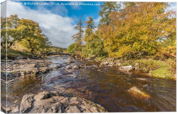 Autumn on the River Tees at Forest in Teesdale Canvas Print by Richard Laidler