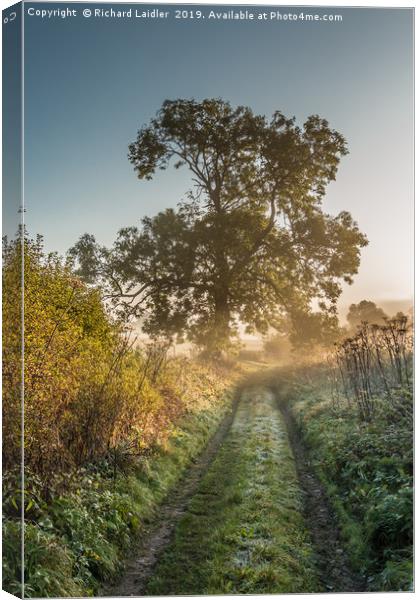The First Frost of Autumn Canvas Print by Richard Laidler
