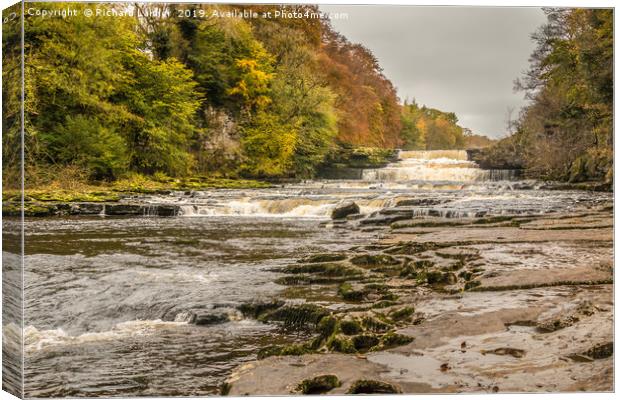 Autumn at Aysgarth Lower Falls, Yorkshire Dales Canvas Print by Richard Laidler