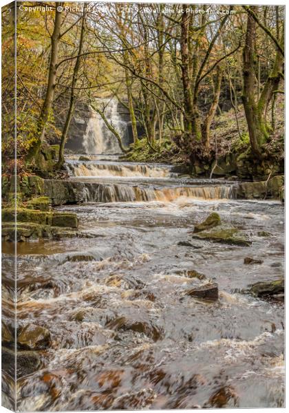 Bow Lee Beck and Summerhill Force in Autumn 1 Canvas Print by Richard Laidler