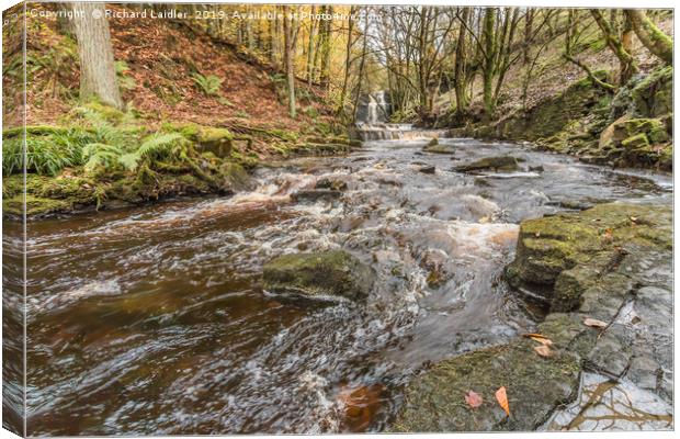 Bow Lee Beck and Summerhill Force in Autumn 2 Canvas Print by Richard Laidler