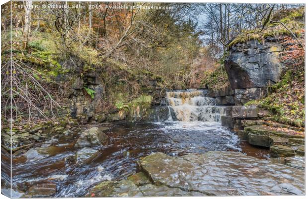Waterfall on Bow Lee Beck at Bowlees, Teesdale Canvas Print by Richard Laidler