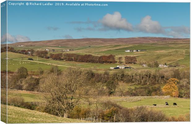 Upper Teesdale in Autumn, Over To Ettersgill  Canvas Print by Richard Laidler