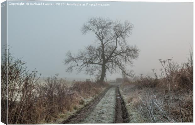 Ash Tree Silhouette in Frost and Fog Canvas Print by Richard Laidler