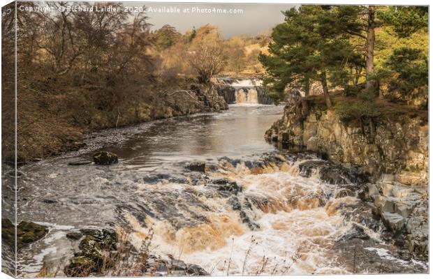 Winter Sun on Low Force Waterfall Teesdale (2) Canvas Print by Richard Laidler