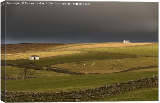 Winter Sun on Bowlees Barns, Teesdale Canvas Print by Richard Laidler