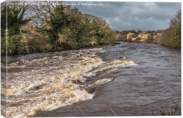 A Swollen River Tees at Barnard Castle, Teesdale Canvas Print by Richard Laidler