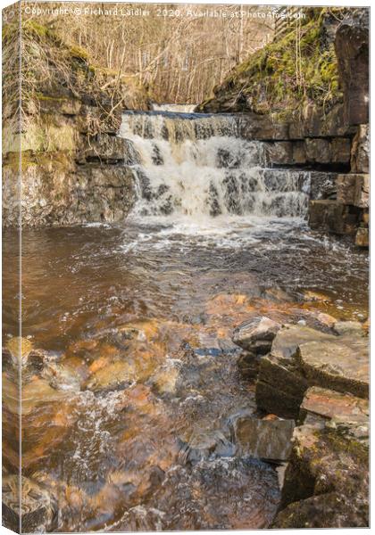 Waterfall on Bow Lee Beck, Teesdale Canvas Print by Richard Laidler