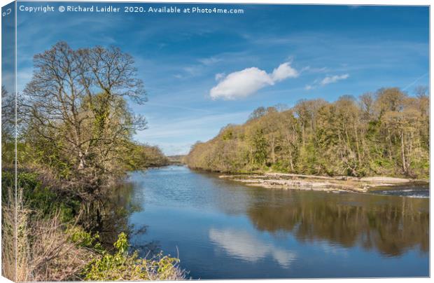 The River Tees at Wycliffe in April Sunshine Canvas Print by Richard Laidler