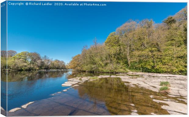 River Tees North Side at Whorlton in Spring Sun Canvas Print by Richard Laidler