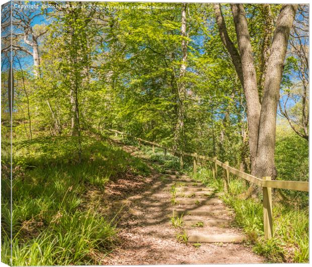 Stairway Through The Woods in Spring Canvas Print by Richard Laidler