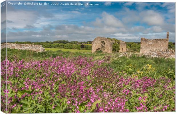 Ruined Barns and Red Campion Canvas Print by Richard Laidler