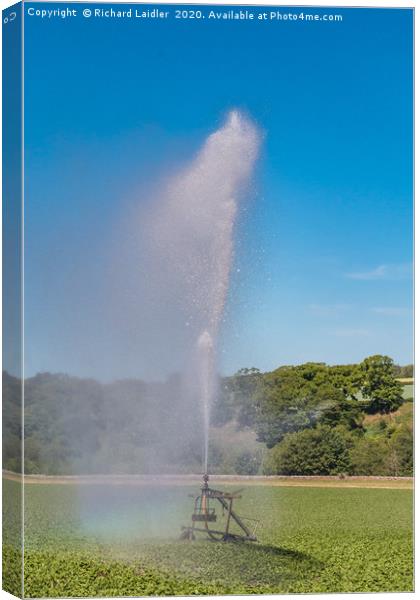 Watering the Spuds Canvas Print by Richard Laidler