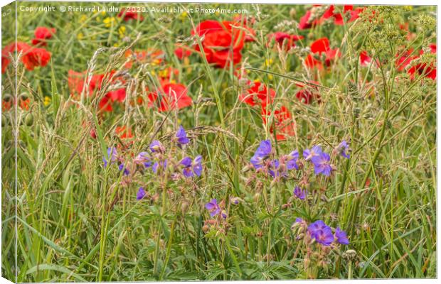 Purple Cranesbill and Red Poppies Canvas Print by Richard Laidler