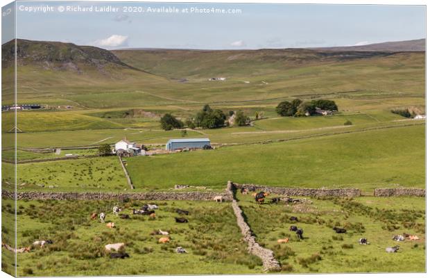 Upper Teesdale in Summer (2) Canvas Print by Richard Laidler