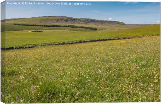 Wild Flower Meadow at Birk Rigg , Teesdale Canvas Print by Richard Laidler