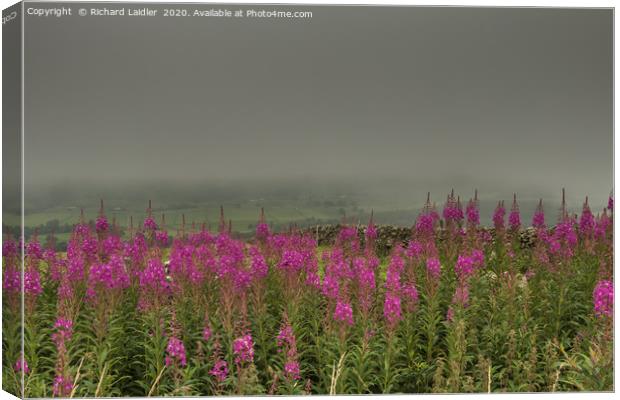 A Murky Day in Holwick, Teesdale Canvas Print by Richard Laidler