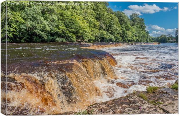 A Swollen River Tees at Whorlton Canvas Print by Richard Laidler