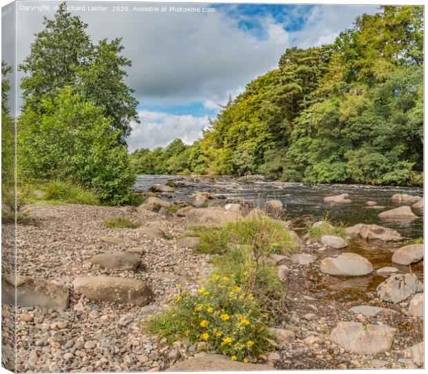 River Tees Riverbank from the Pennine Way Canvas Print by Richard Laidler