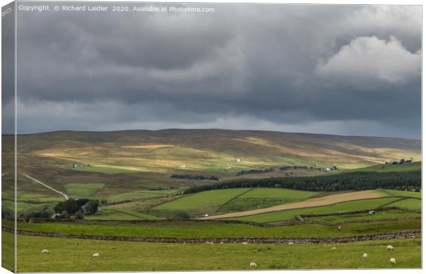 Harwood Teesdale, Sunshine and Shadows Canvas Print by Richard Laidler