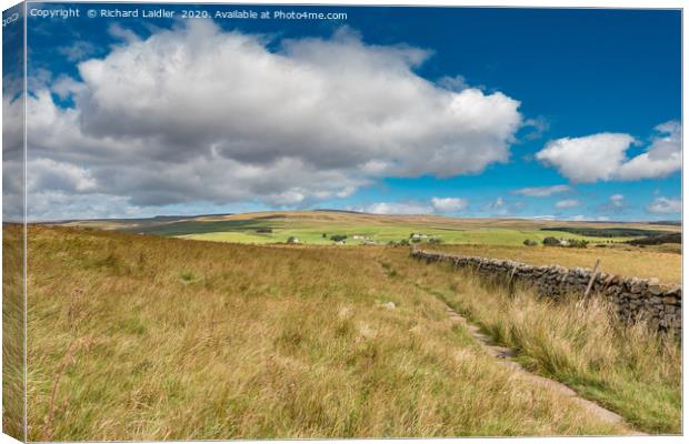 Forest in Teesdale from the Pennine Way Canvas Print by Richard Laidler