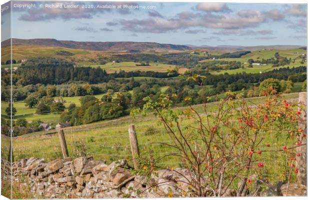 Upper Teesdale from Miry Lane in Early Autumn Canvas Print by Richard Laidler