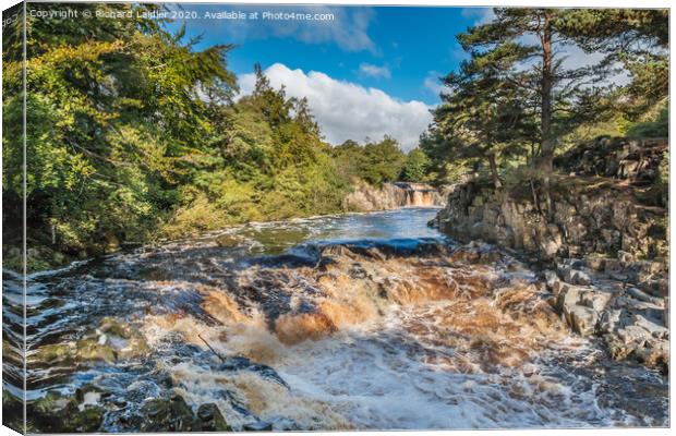 Autumn Tints at Low Force Waterfall Sep 2020 2 Canvas Print by Richard Laidler