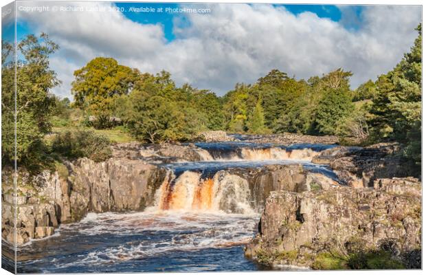 Autumn Tints at Low Force Waterfall Sep 2020 Canvas Print by Richard Laidler