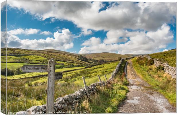 The Pennine Way down from Great Shunner Fell Canvas Print by Richard Laidler