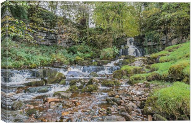 Scar House Waterfall 2 Canvas Print by Richard Laidler
