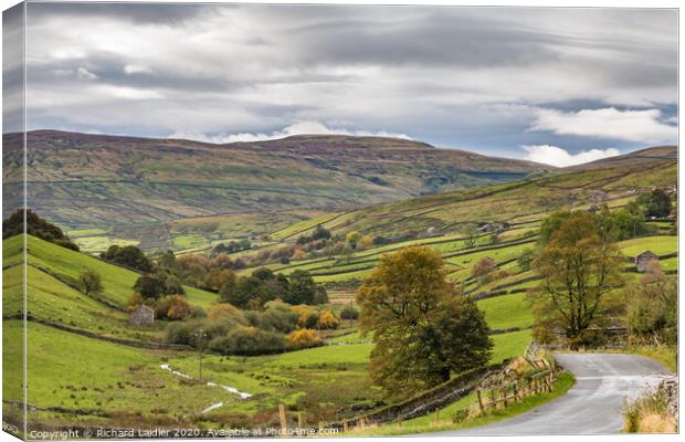 Lovely Seat from Keld Canvas Print by Richard Laidler