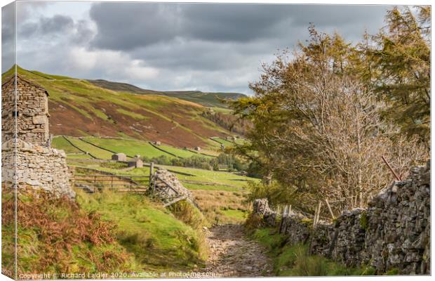 Down into Swaledale from Great Shunner Fell Canvas Print by Richard Laidler