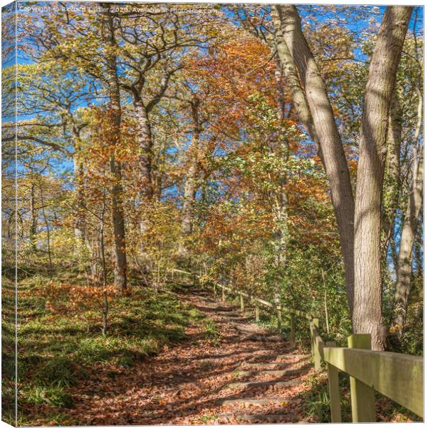 Stairway Through The Woods in Autumn Canvas Print by Richard Laidler