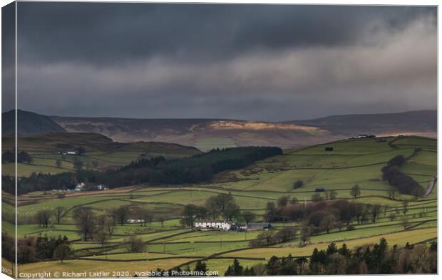 Bright and Damp Upper Teesdale 3 Canvas Print by Richard Laidler