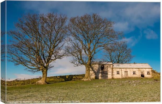 Teesdale Hilltop Barn in Winter Canvas Print by Richard Laidler