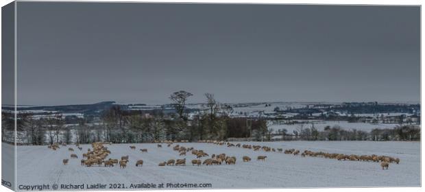 The Winter Food Line 1 Canvas Print by Richard Laidler