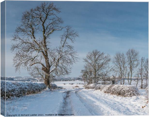 Van Farm Lane in Snow (1) Canvas Print by Richard Laidler