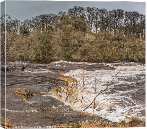 The River Tees in Full Flood at Whorlton (2) Canvas Print by Richard Laidler