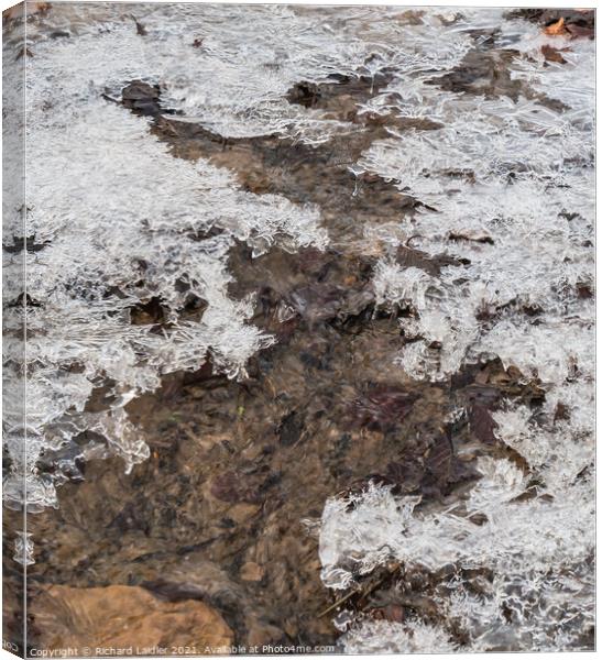 Thawing Canvas Print by Richard Laidler