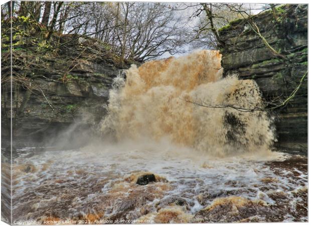 Summerhill Force Waterfall, Teesdale in Full Spate Canvas Print by Richard Laidler