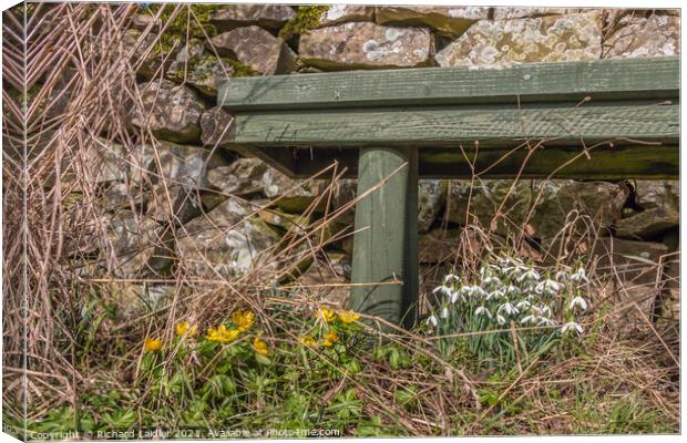 Spring Benchmark Canvas Print by Richard Laidler