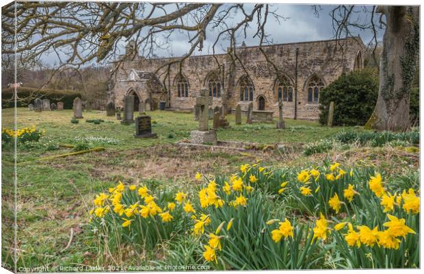 Daffodils in St Marys Parish Churchyard, Wycliffe, Teesdale Canvas Print by Richard Laidler