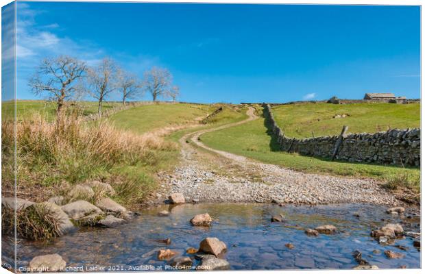 Track Over to Coldberry, Teesdale Canvas Print by Richard Laidler
