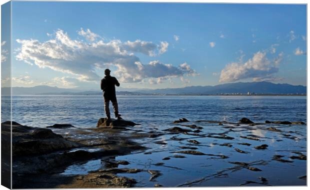 Spectacular scenery at the coast of Enoshima, Japan Canvas Print by Lensw0rld 