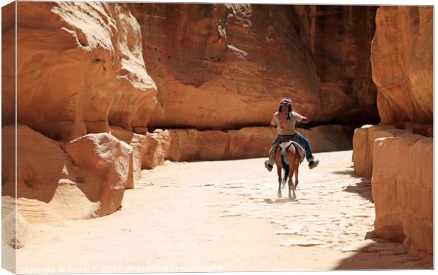 A Bedouin riding in the siq in Petra Canvas Print by Lensw0rld 