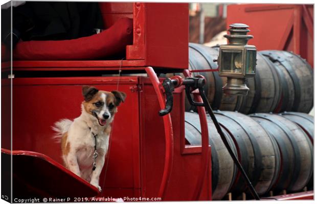 Happy dog in traditional beer truck Canvas Print by Lensw0rld 