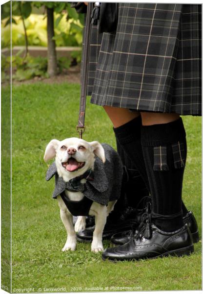 Smiling dog at a wedding in Scotland Canvas Print by Lensw0rld 